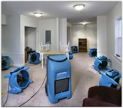 Water Mitigation Services in Gulf Hills, MS