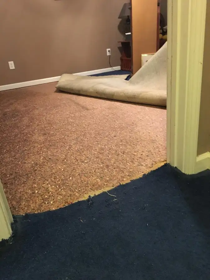 Carpet pad removal revealing water damage during Water Mitigation Services in Gulf Hills