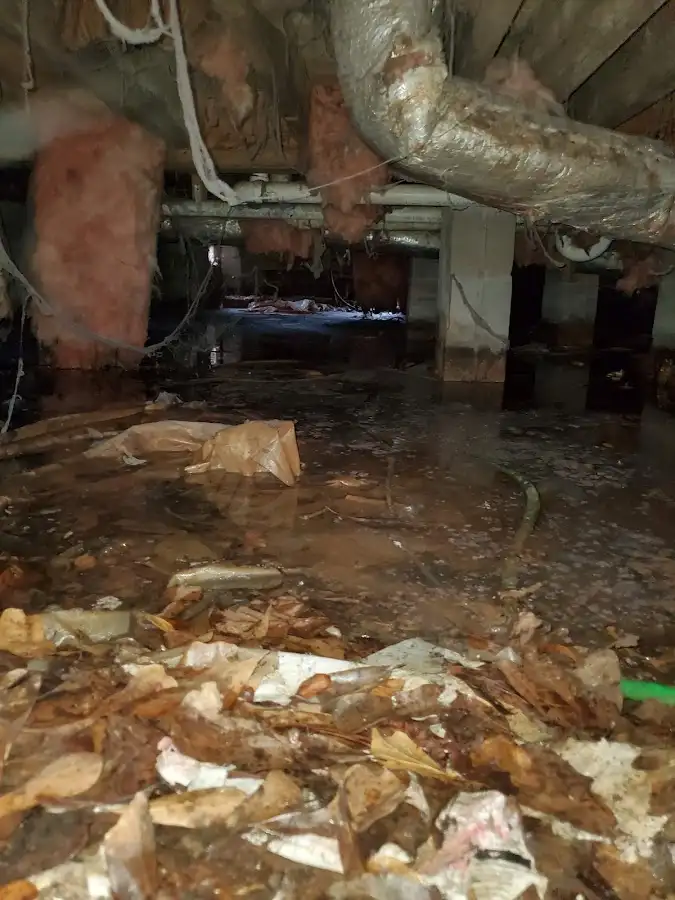 Crawl space flood assessment for Leak Detection & Repair in Gulf Hills