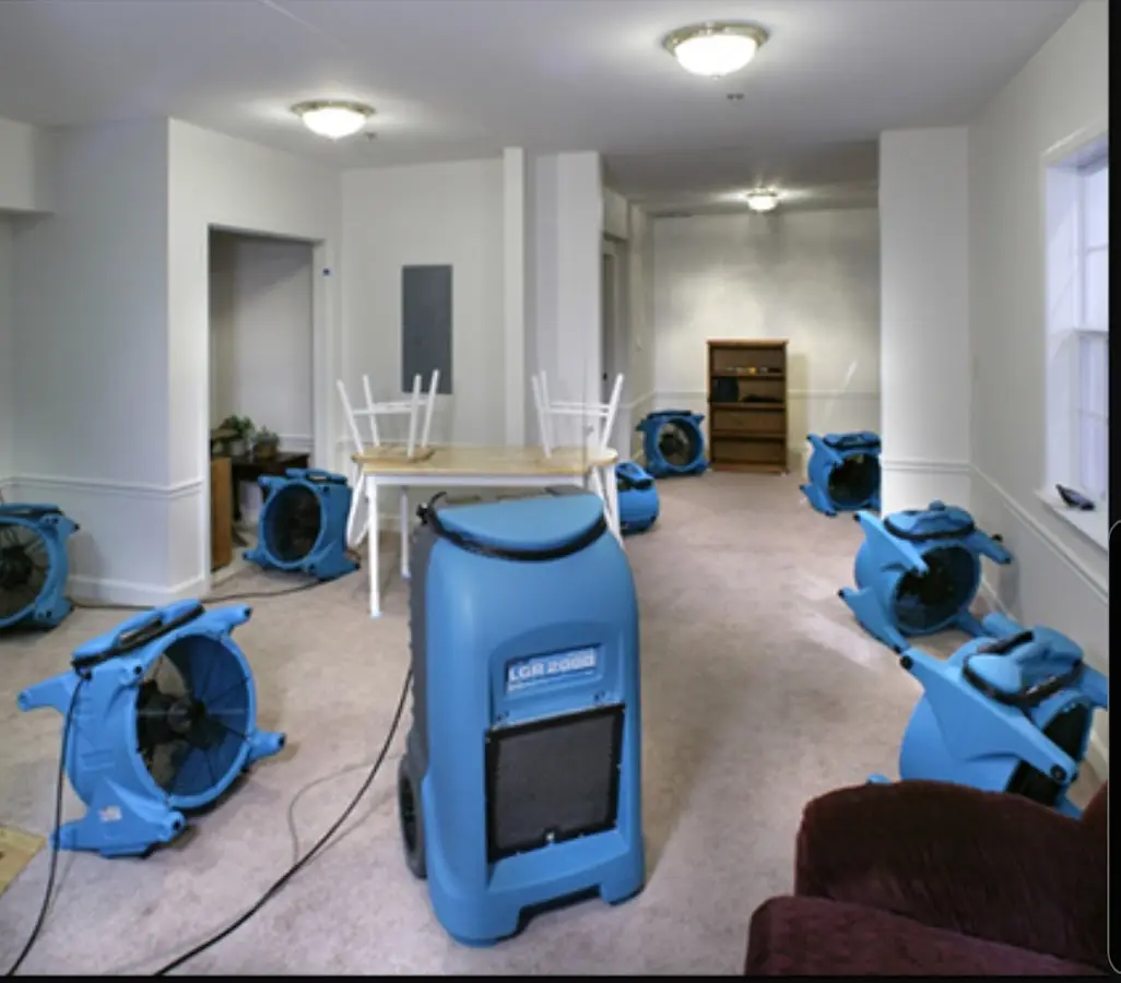 Air movers and dehumidifier setup for Water Extraction & Removal in Gulf Hills
