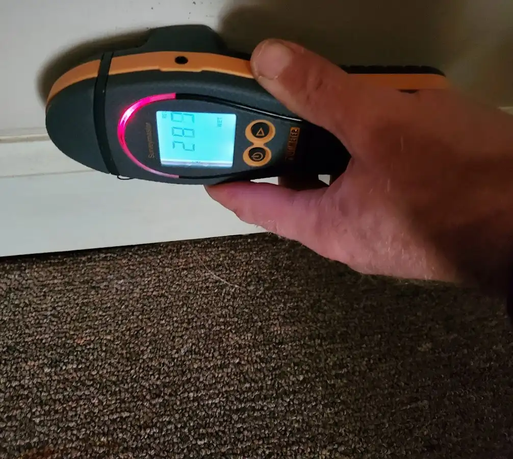 Moisture detection at baseboard during Burst Pipe Cleanup in Gulf Hills